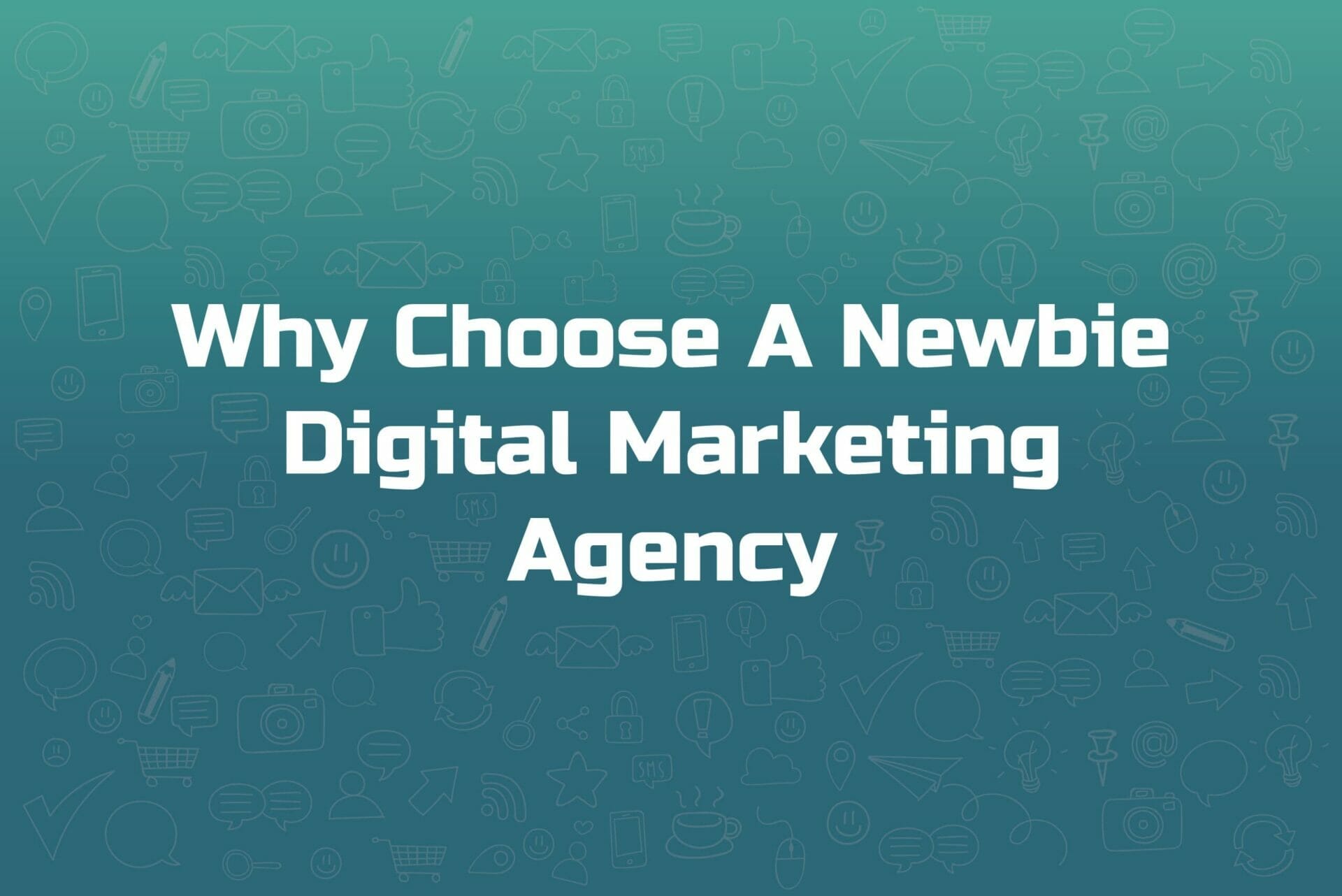 why choose a newbie digital marketing agency