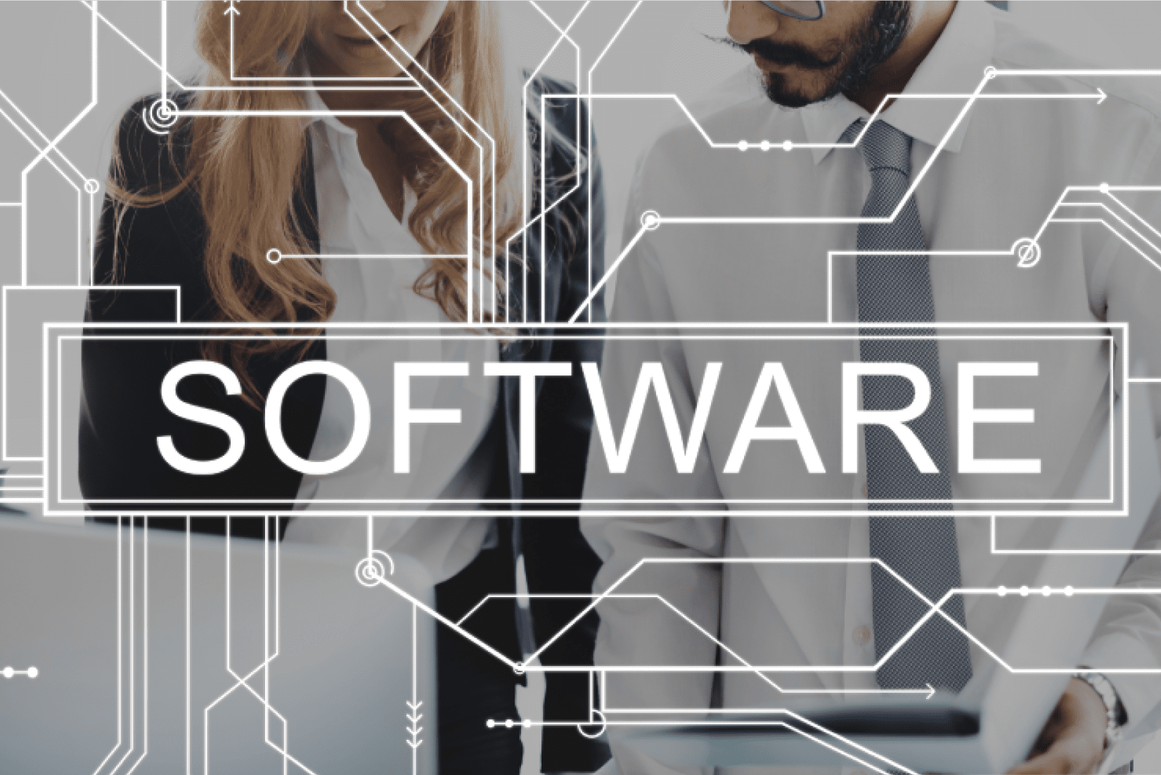 software development